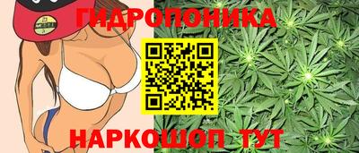 эйфоретик Балахна