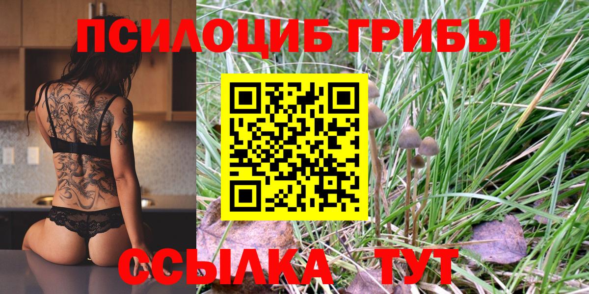 Галлюциногенные грибы Psilocybine cubensis  Галлюциногенные грибы Cubensis  Вход с VPN  Екатеринбург 